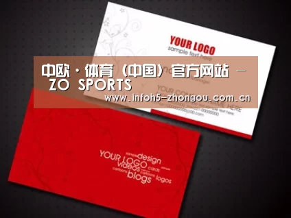 项目名称八