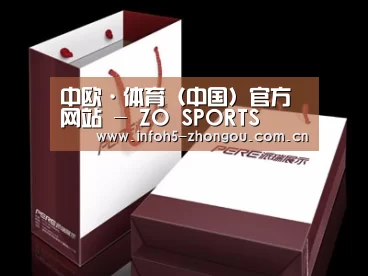 项目名称十二