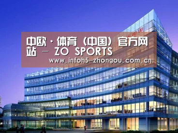 案例展示五
