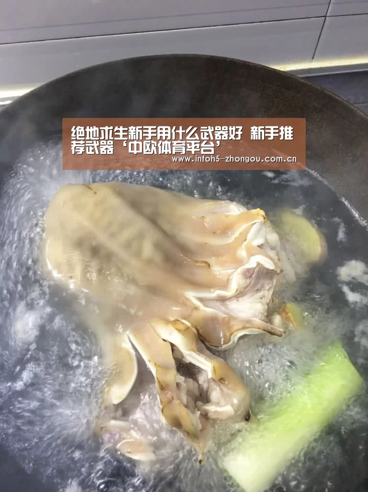 绝地求生新手用什么武器好 新手推荐武器‘中欧体育平台’(图1) zoty体育